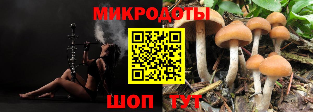 Дзержинский  Псилоцибиновые грибы мицелий  Галлюциногенные грибы мицелий  Вход с VPN 